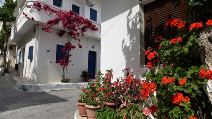 Der Topfgarten - der Garten zum Üben für Anfänger und Fortgeschrittene