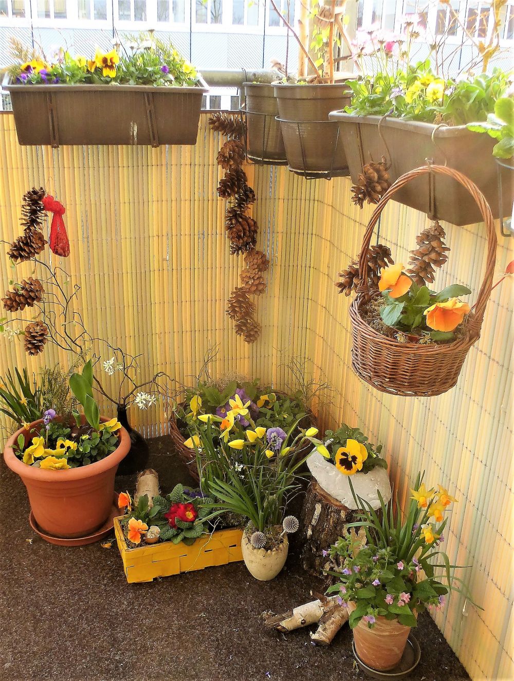 Der Topfgarten - der Garten zum Üben für Anfänger und Fortgeschrittene