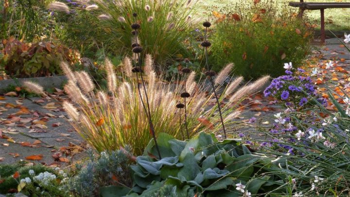 Herbstarbeiten im Garten - Checkliste, wie wir den Garten winterfest machen
