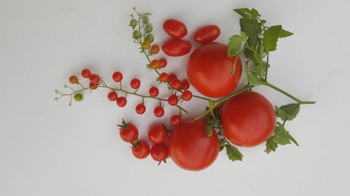 Tomatenmix