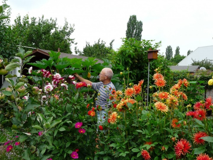 altersgerechter Garten