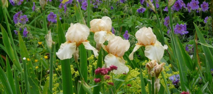 Gartensprüche