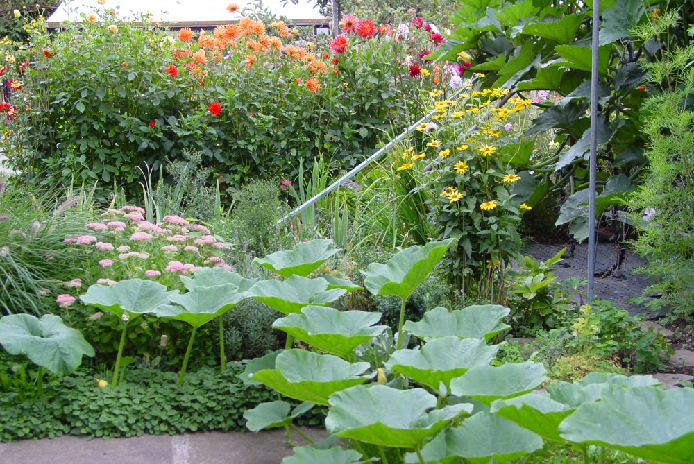 Herbst im Garten