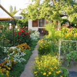 Nutzgarten - Gartenarbeit im August