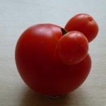 witzige Tomate