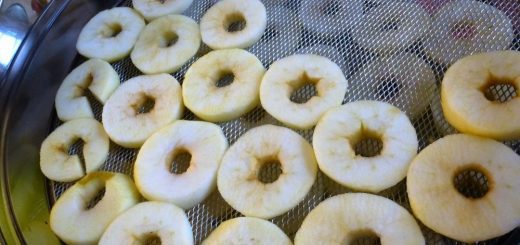 Apfelringe selber machen