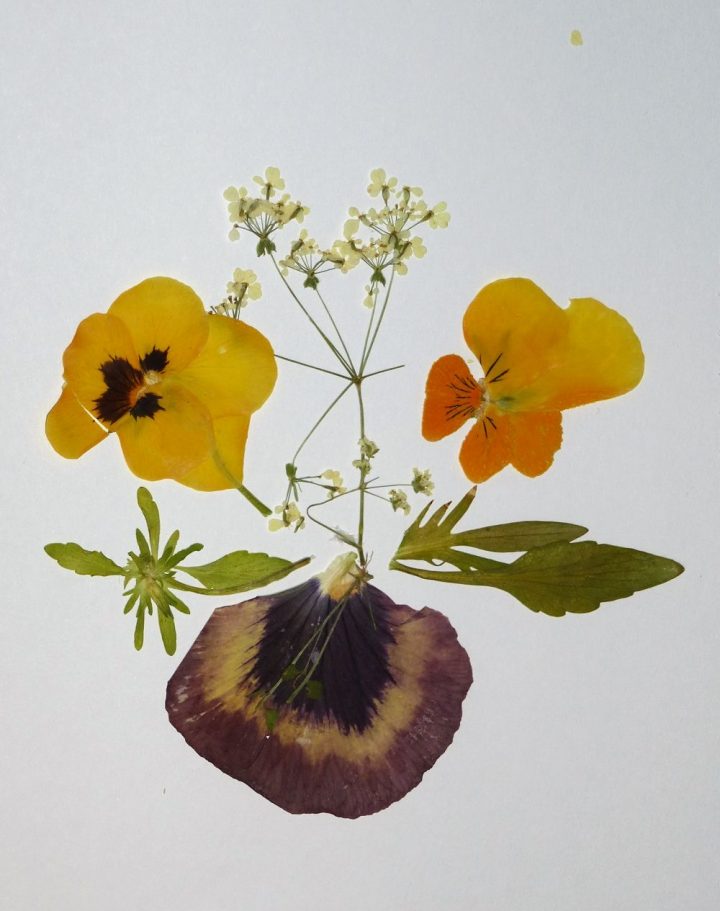 Blumenkarten gestalten