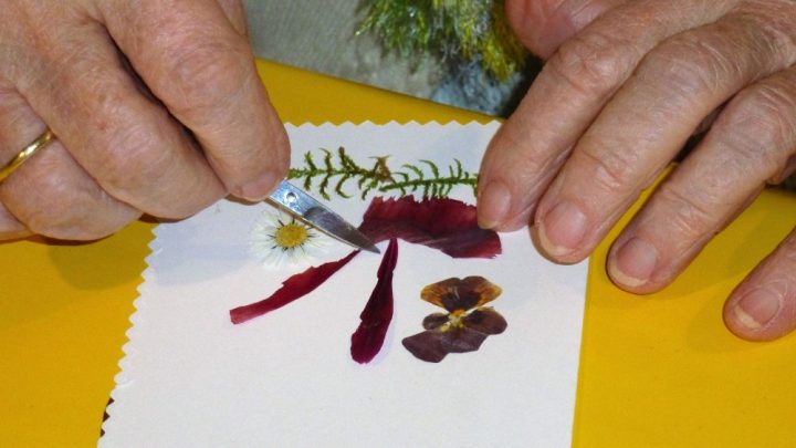 Blumenkarten gestalten