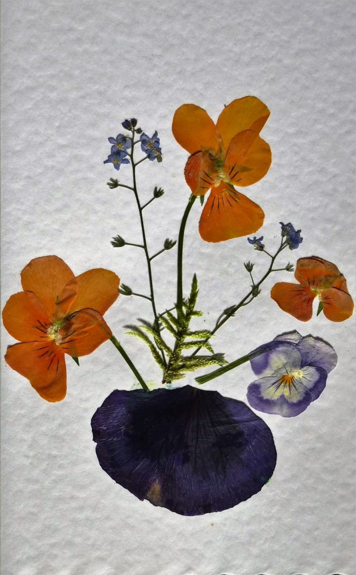 Blumen pressen