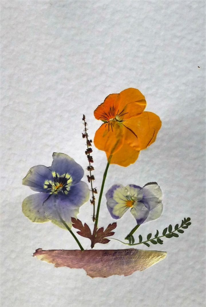 Blumen pressen