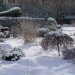 Kleingarten im Winter