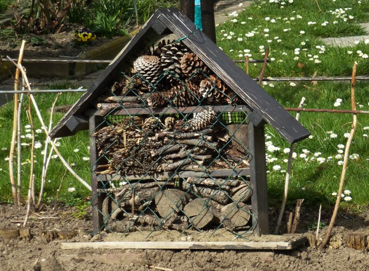Wildbienen-Nisthilfen