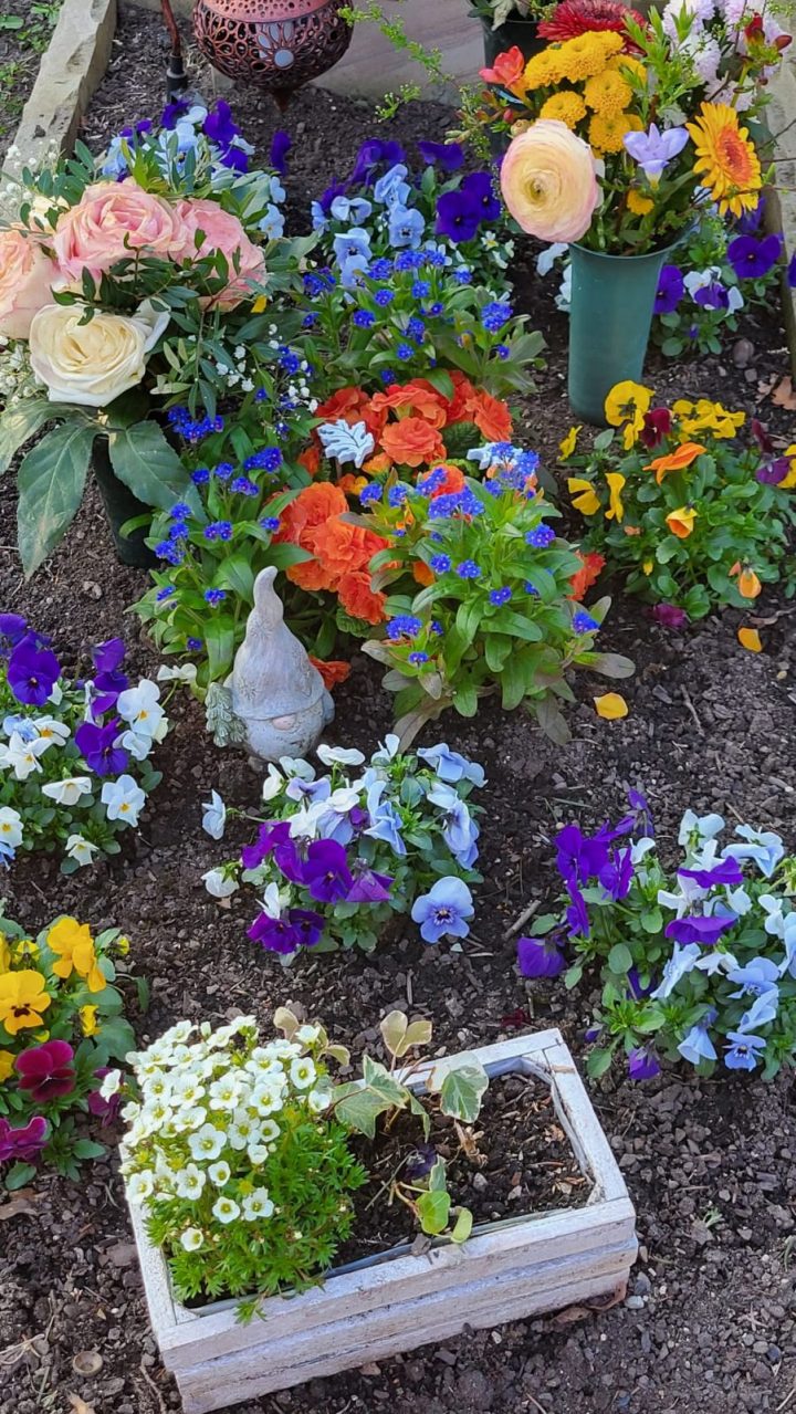 Grabbepflanzung im Frühling