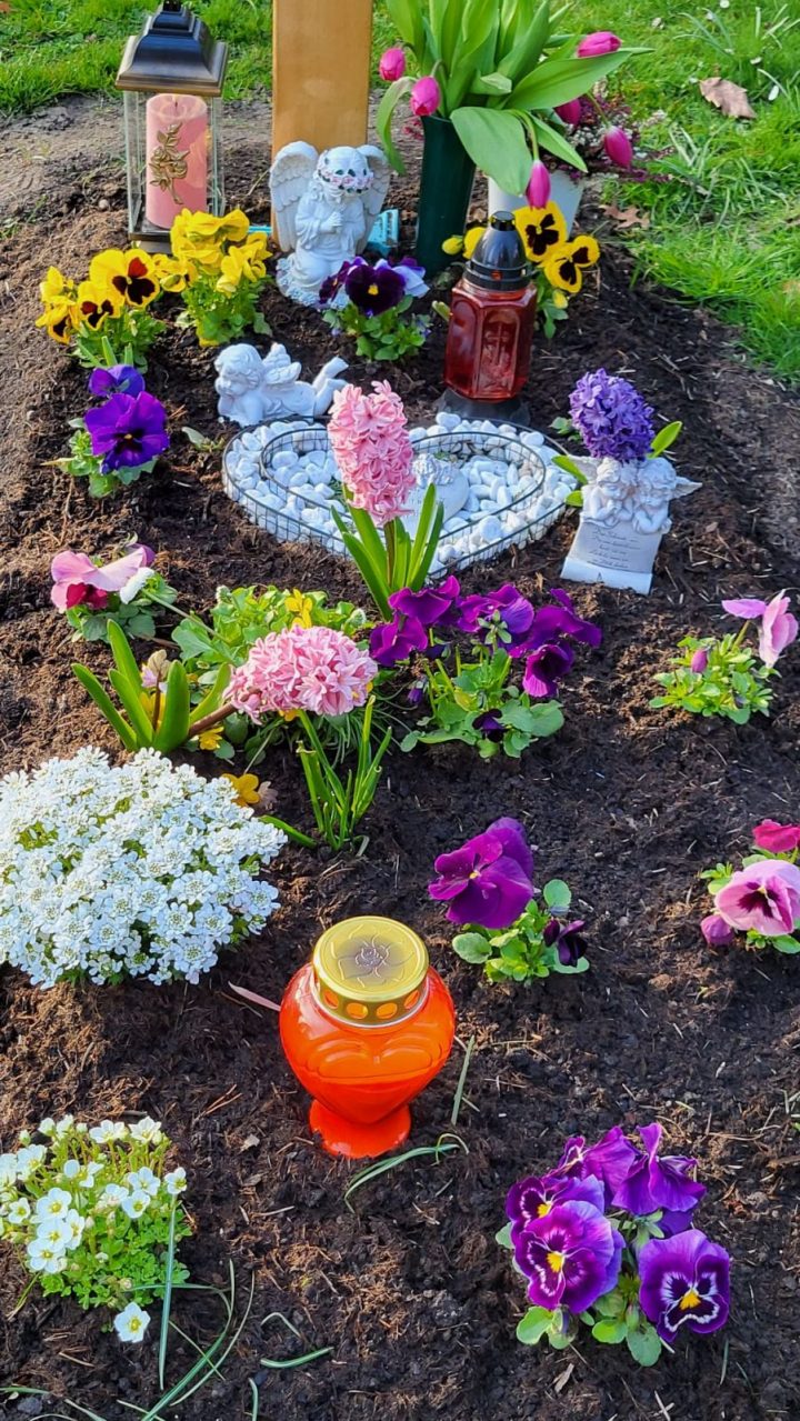 Grabbepflanzung im Frühling