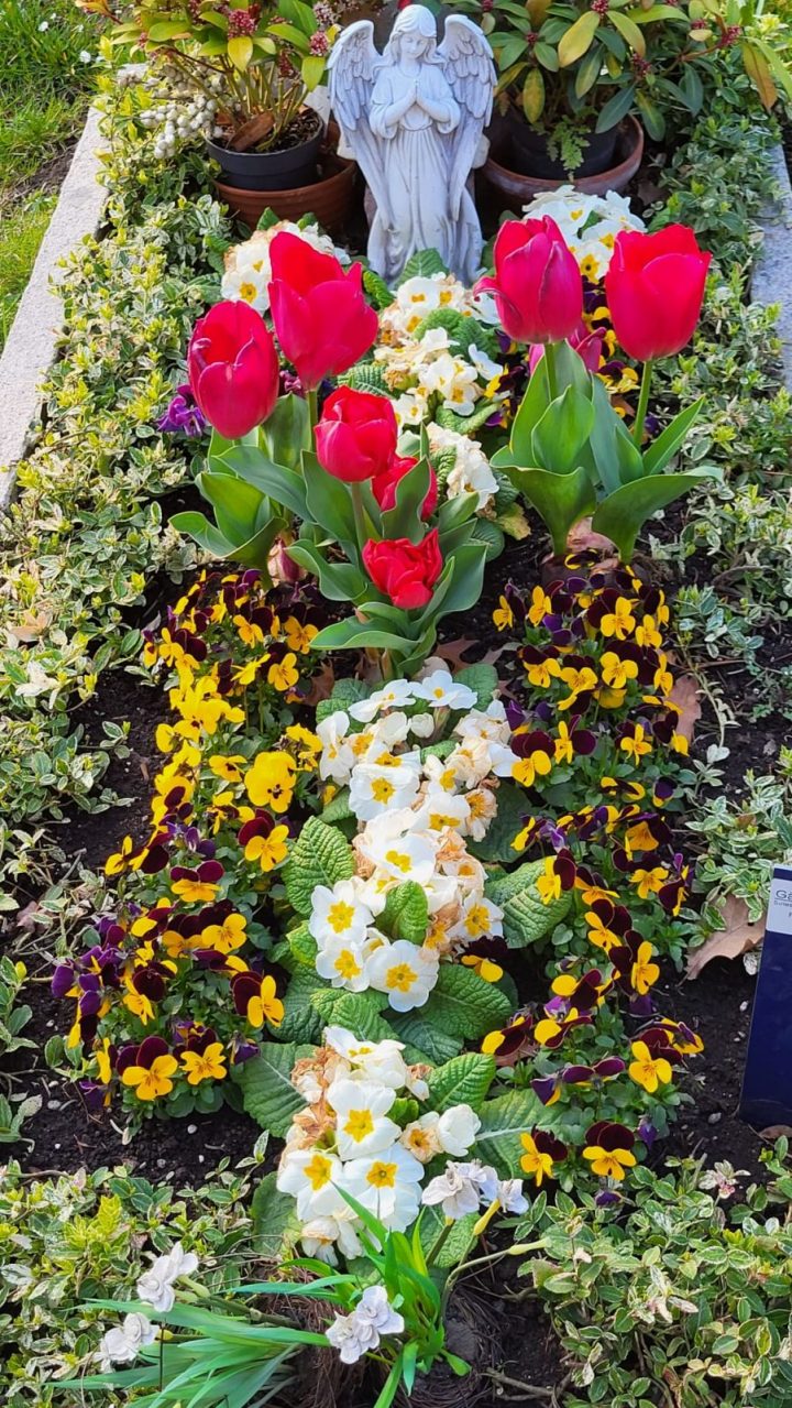 Grabbepflanzung im Frühling