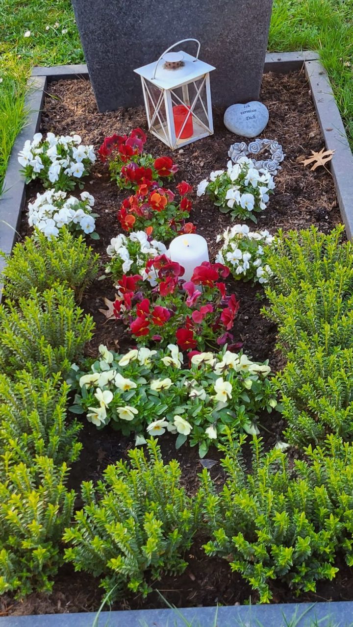 Grabbepflanzung im Frühling