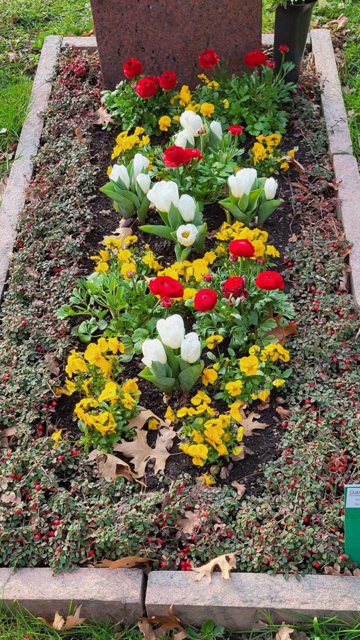 Grabbepflanzung im Frühling